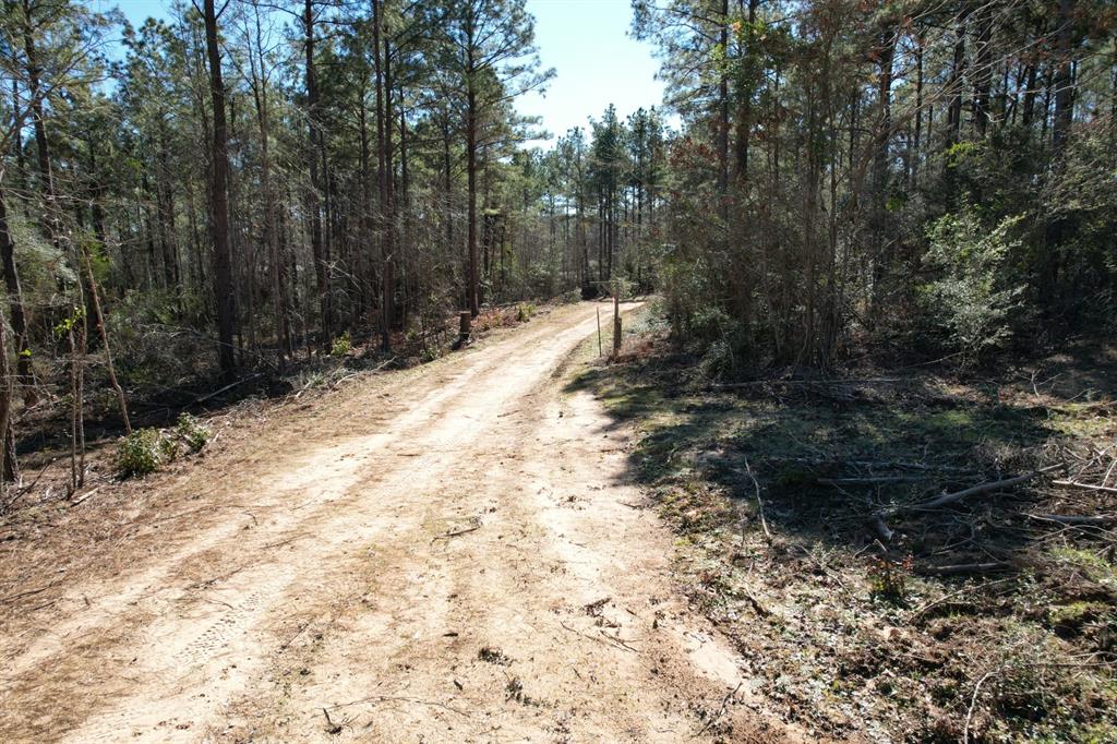 TBD-D County Road 3198, Mount Enterprise, Texas image 3