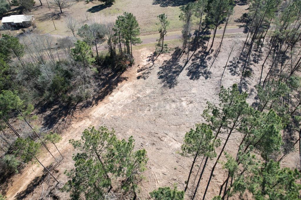 TBD-D County Road 3198, Mount Enterprise, Texas image 12