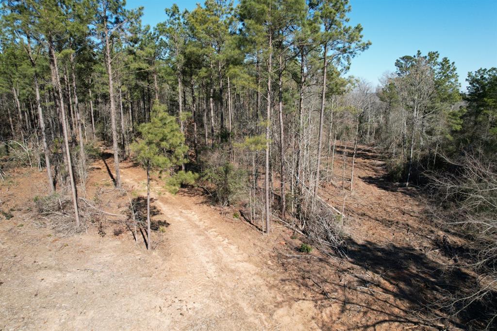 TBD-D County Road 3198, Mount Enterprise, Texas image 17