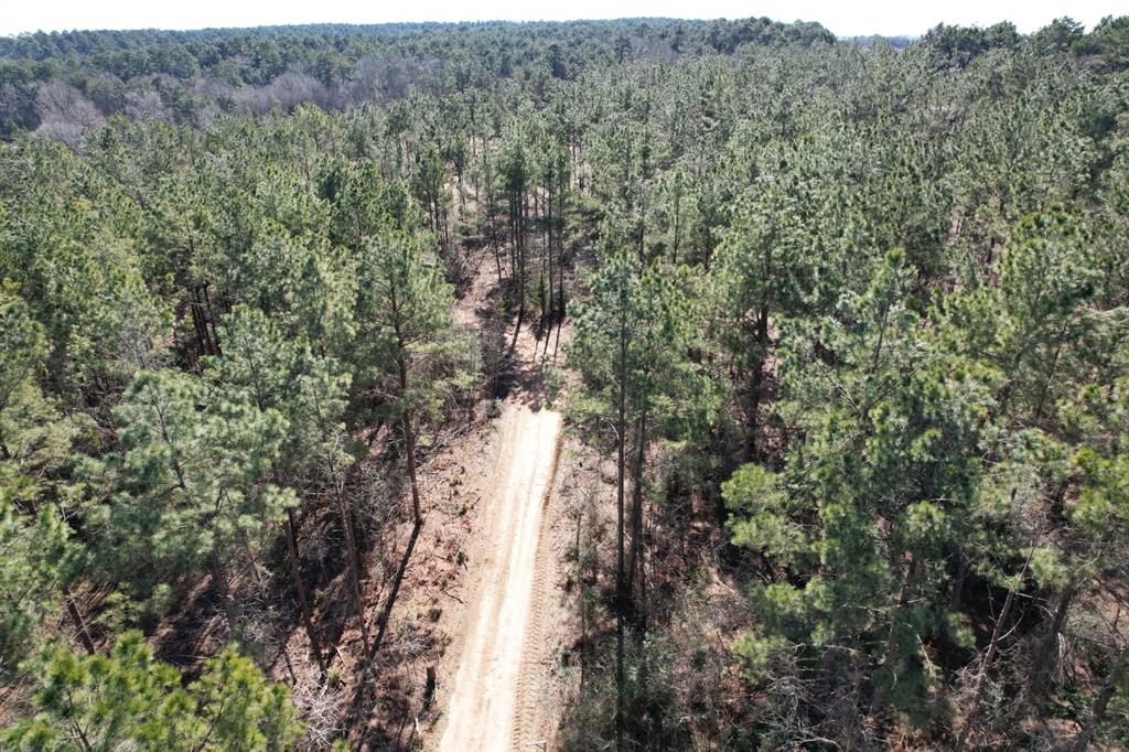 TBD-D County Road 3198, Mount Enterprise, Texas image 5