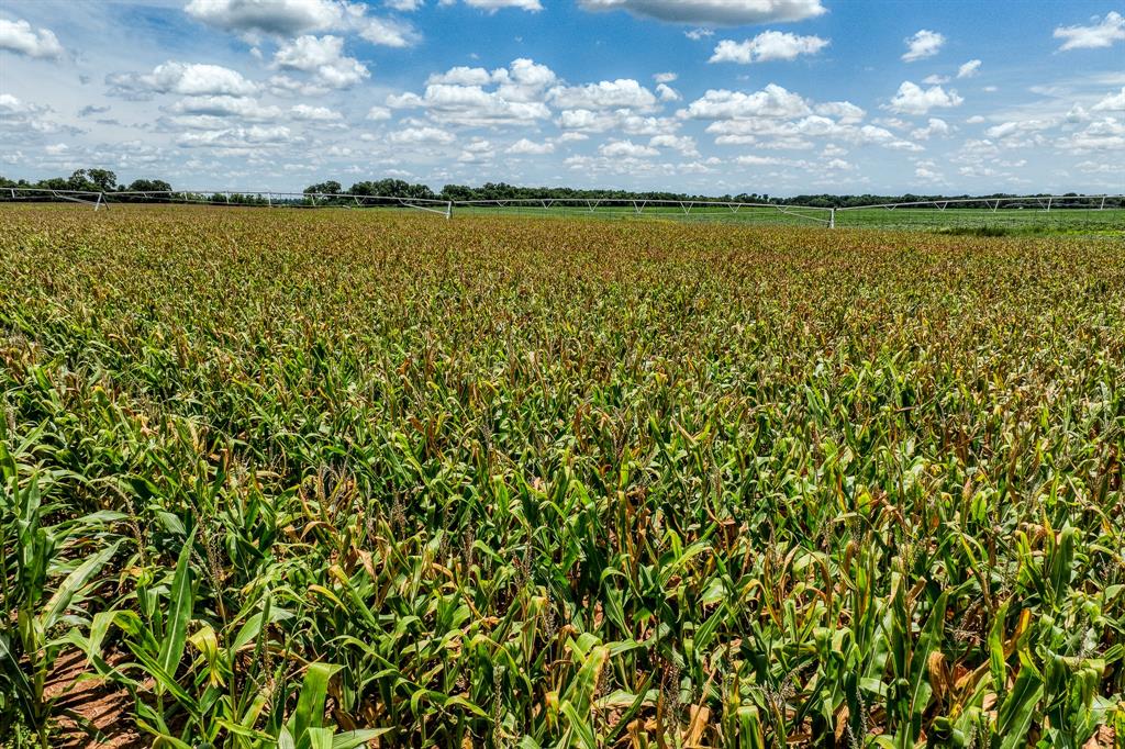 TBD County Road 277, Snook, Texas image 36