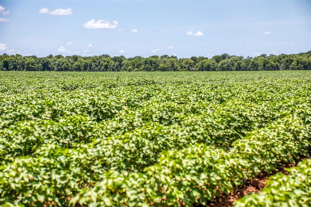 TBD County Road 277, Snook, Texas image 25