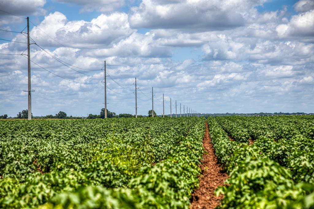 TBD County Road 277, Snook, Texas image 24