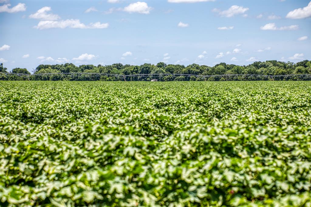 TBD County Road 277, Snook, Texas image 3