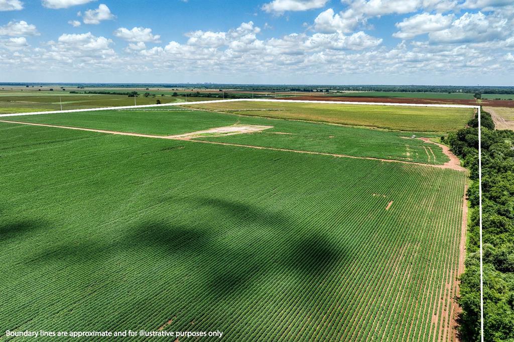 TBD County Road 277, Snook, Texas image 37