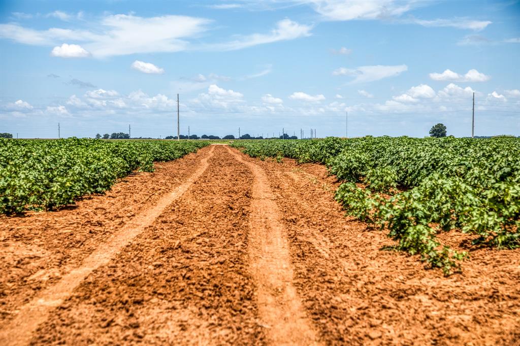 TBD County Road 277, Snook, Texas image 27