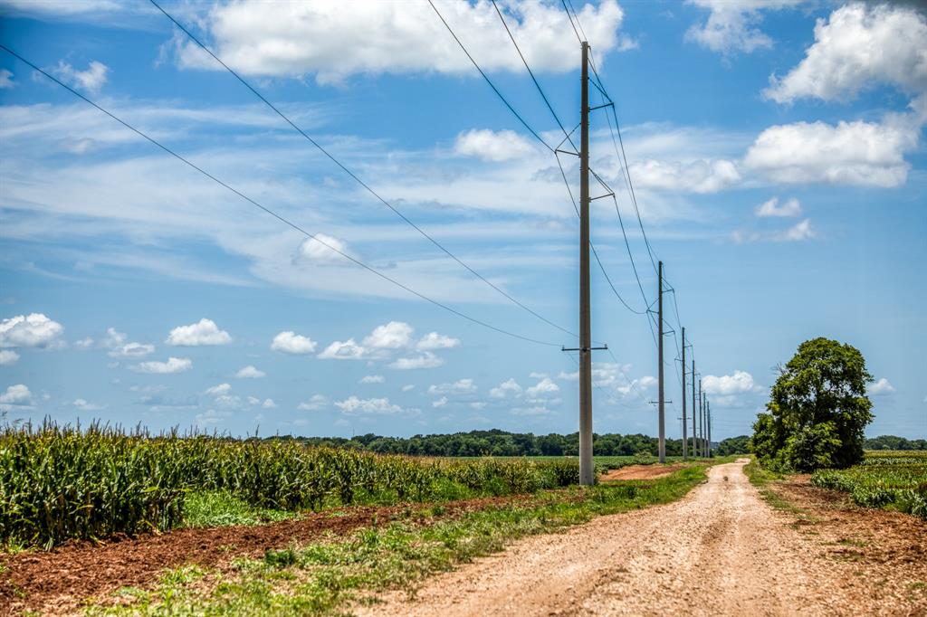 TBD County Road 277, Snook, Texas image 5