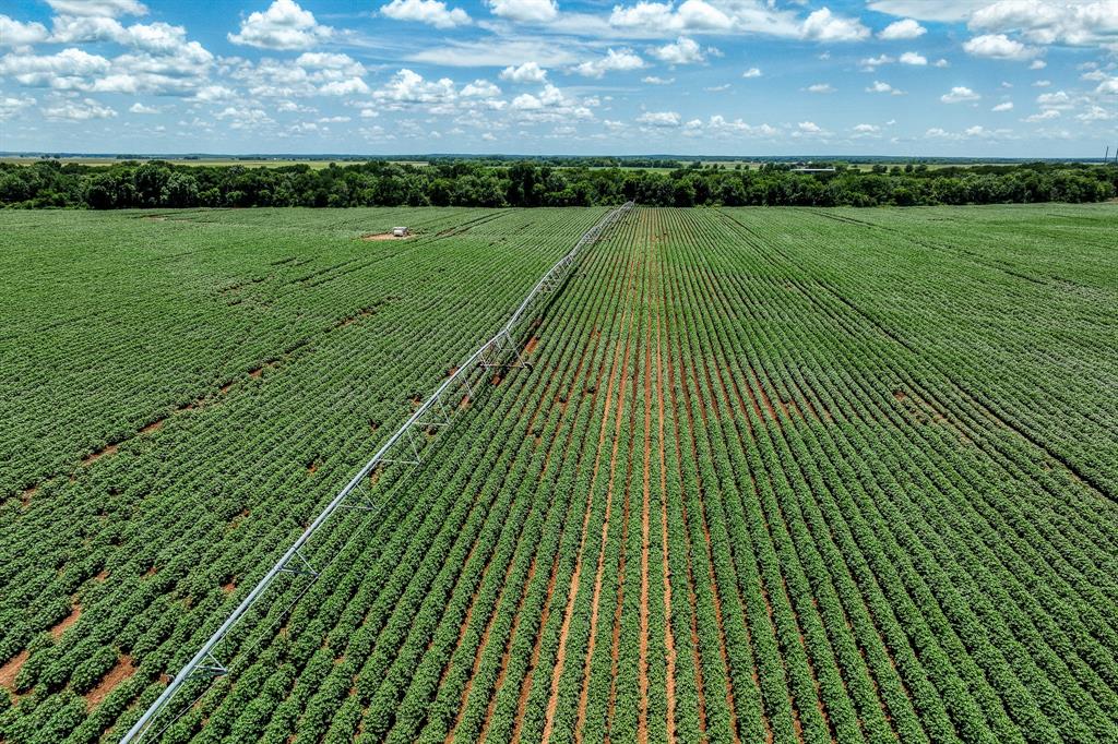 TBD County Road 277, Snook, Texas image 7