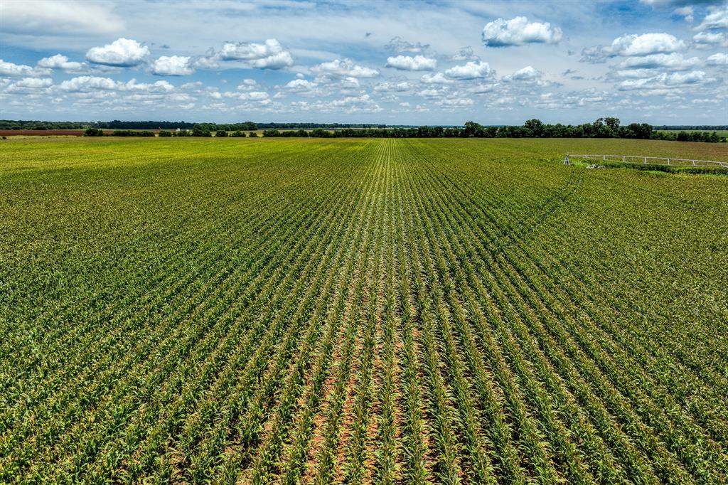 TBD County Road 277, Snook, Texas image 32