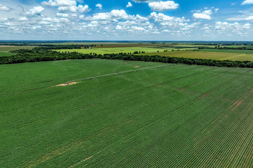 TBD County Road 277, Snook, Texas image 38