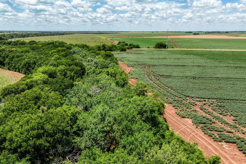 TBD County Road 277, Snook, Texas image 14