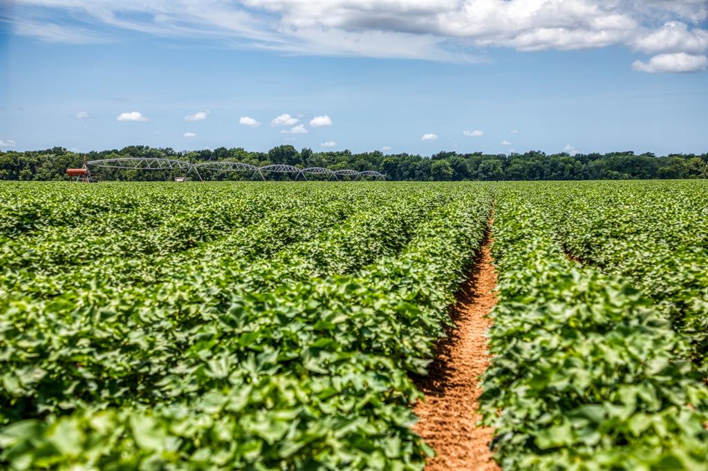 TBD County Road 277, Snook, Texas image 26