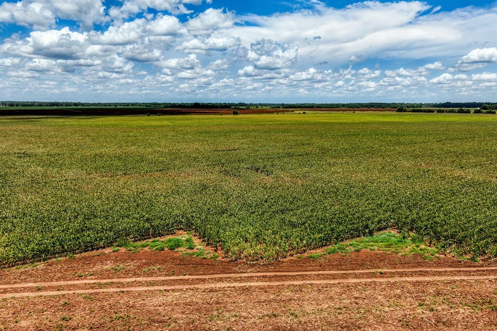 TBD County Road 277, Snook, Texas image 10