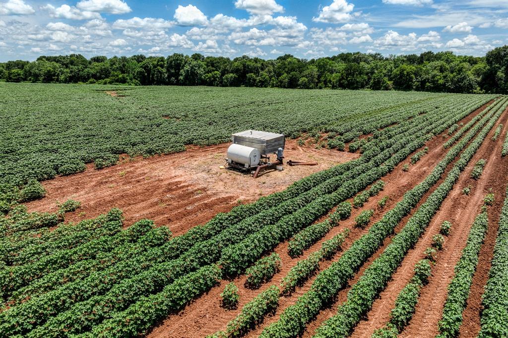 TBD County Road 277, Snook, Texas image 9