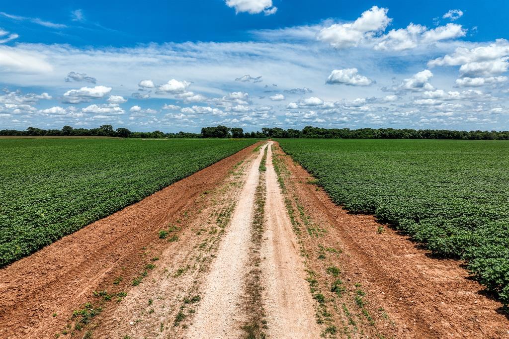 TBD County Road 277, Snook, Texas image 8