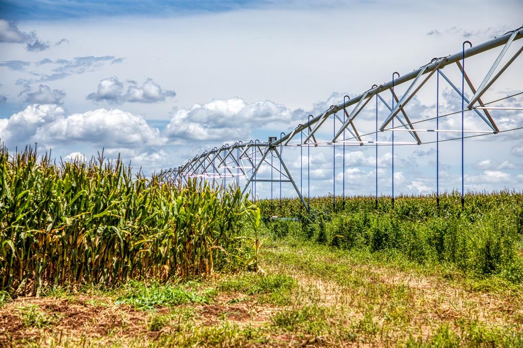 TBD County Road 277, Snook, Texas image 23