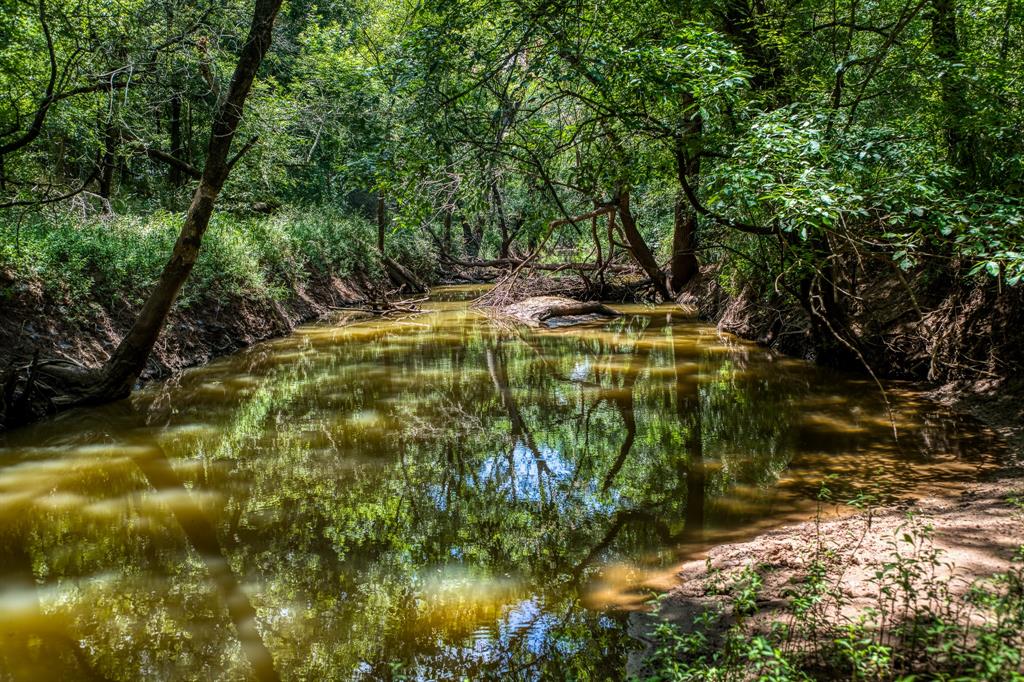 TBD County Road 277, Snook, Texas image 18