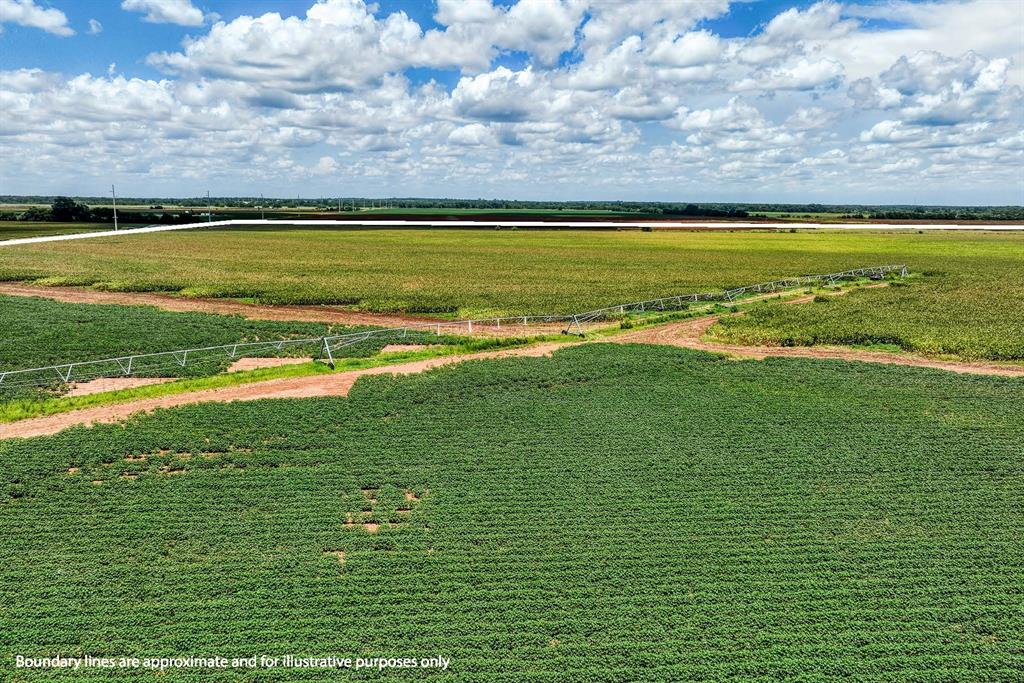 TBD County Road 277, Snook, Texas image 20