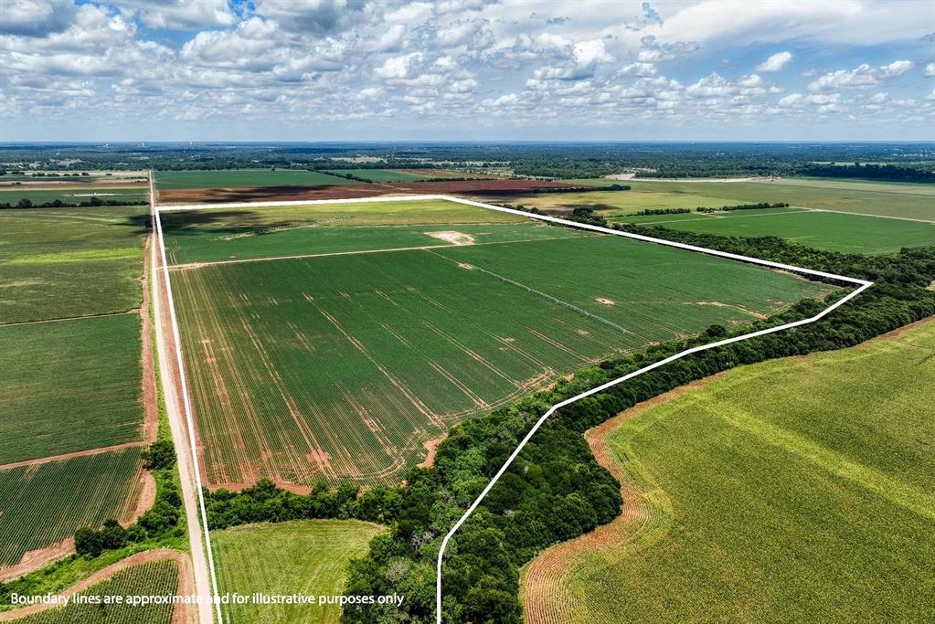 TBD County Road 277, Snook, Texas image 13