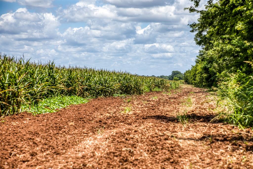 TBD County Road 277, Snook, Texas image 22