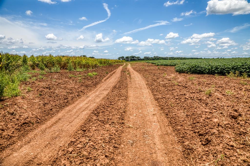 TBD County Road 277, Snook, Texas image 30