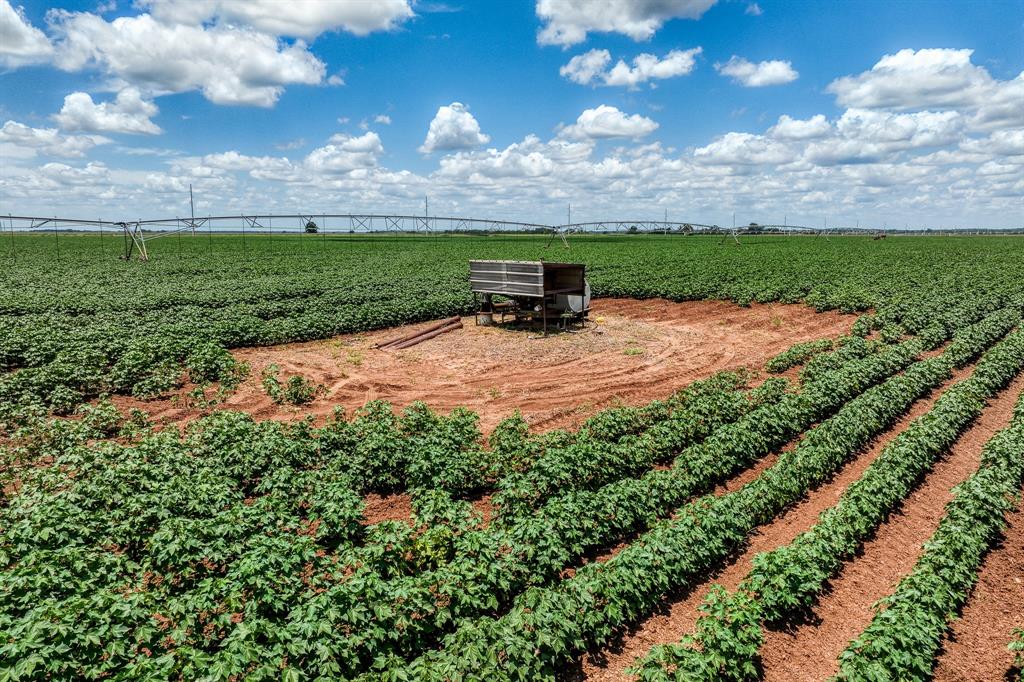 TBD County Road 277, Snook, Texas image 31