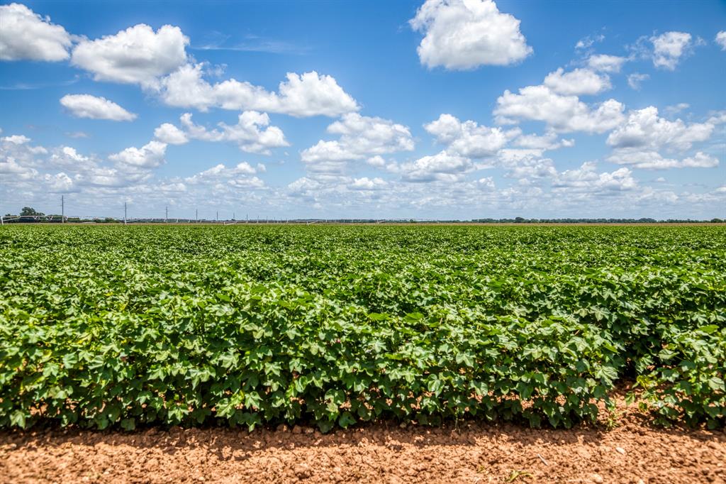 TBD County Road 277, Snook, Texas image 35