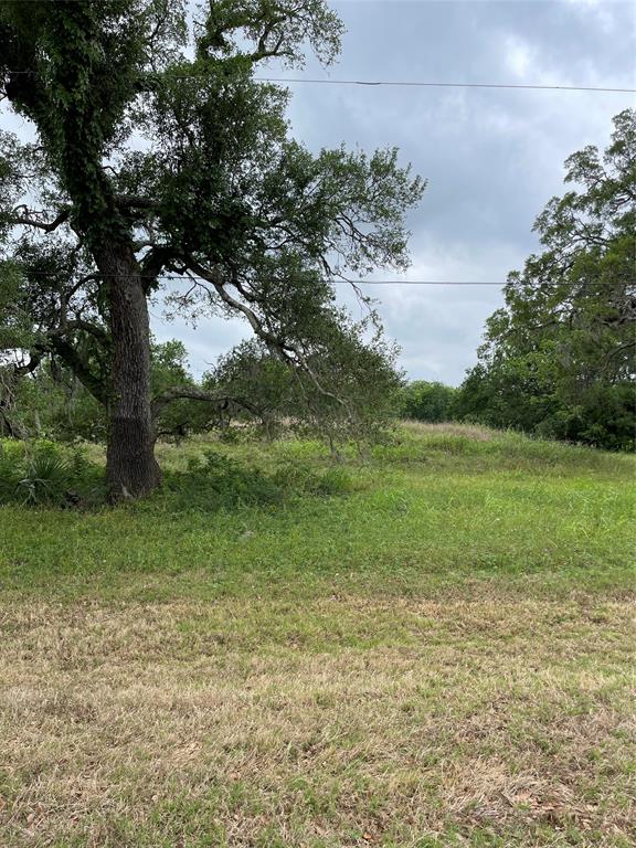 526 Pony Trail Trail, Angleton, Texas image 7