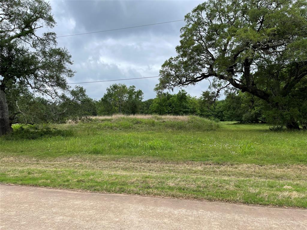 526 Pony Trail Trail, Angleton, Texas image 1