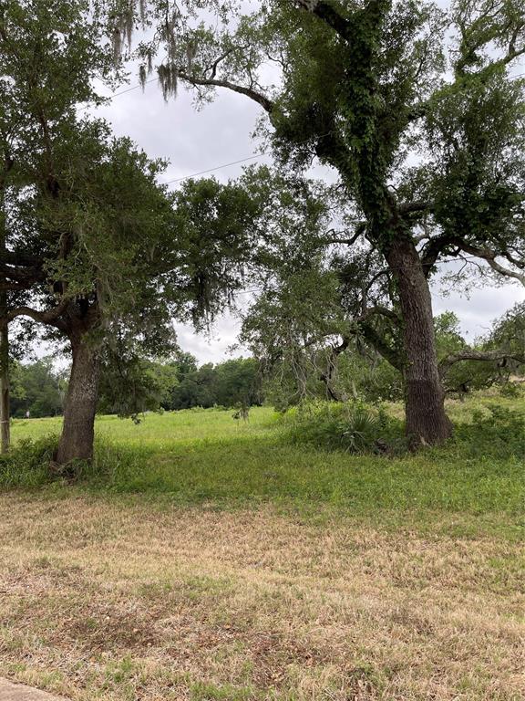 526 Pony Trail Trail, Angleton, Texas image 6