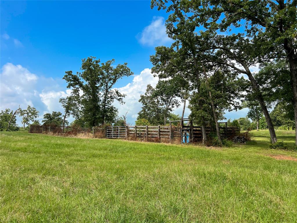 10200 Highway 7, Marquez, Texas image 10