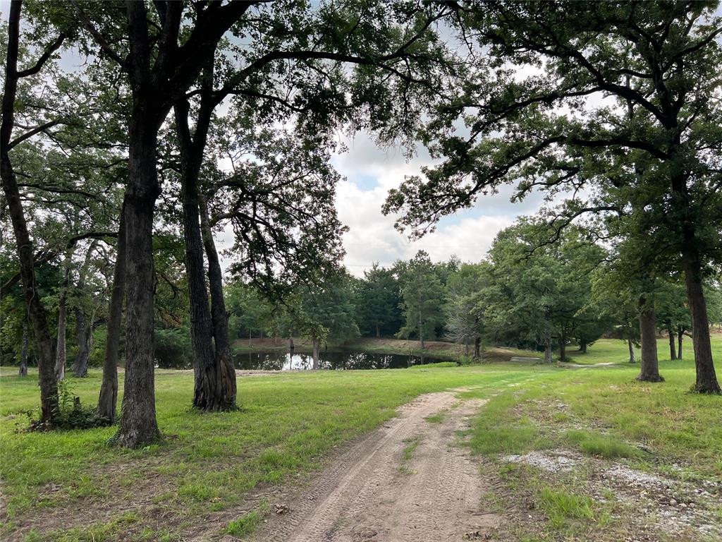 10200 Highway 7, Marquez, Texas image 9