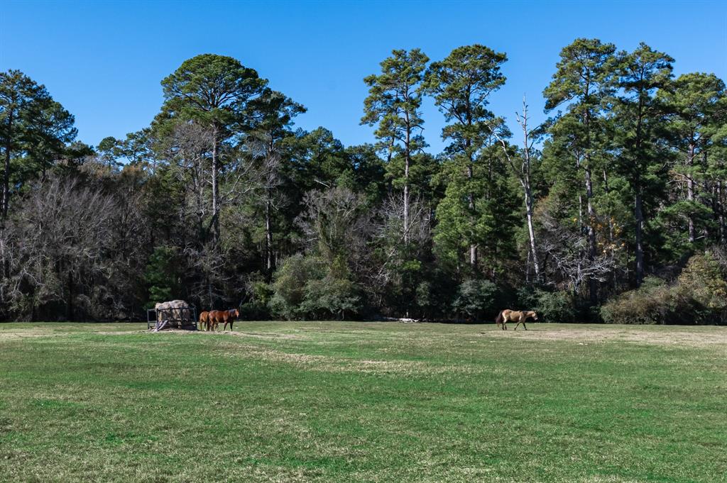 349 B Lee Road, Groveton, Texas image 49