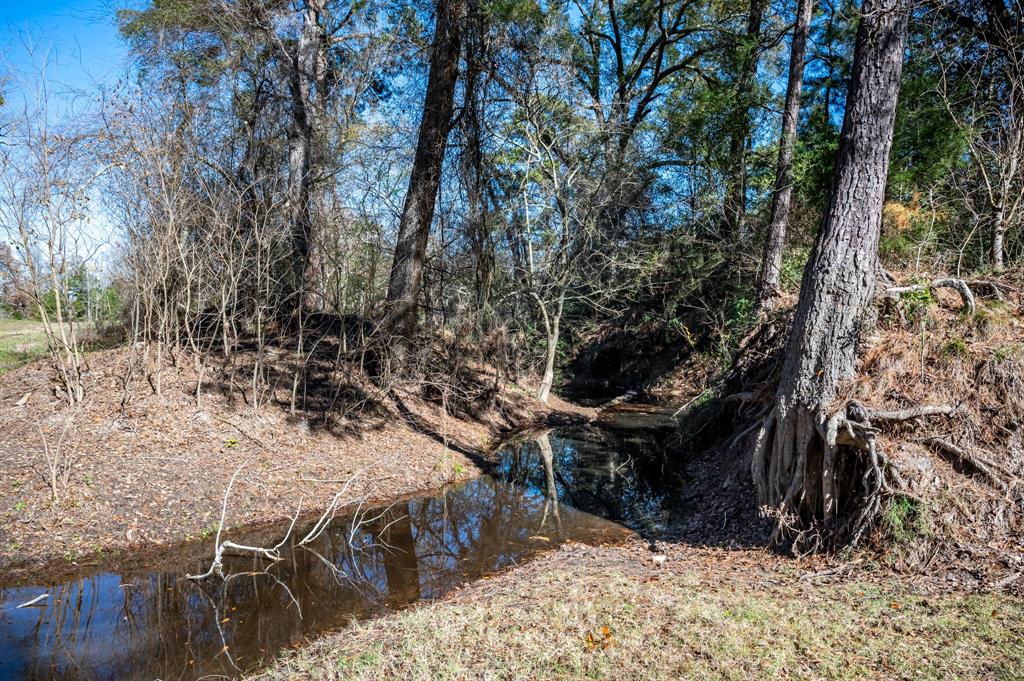 349 B Lee Road, Groveton, Texas image 46