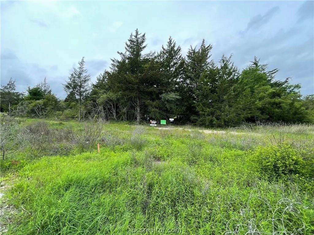 4524 Hampshire Lane, Franklin, Texas image 4
