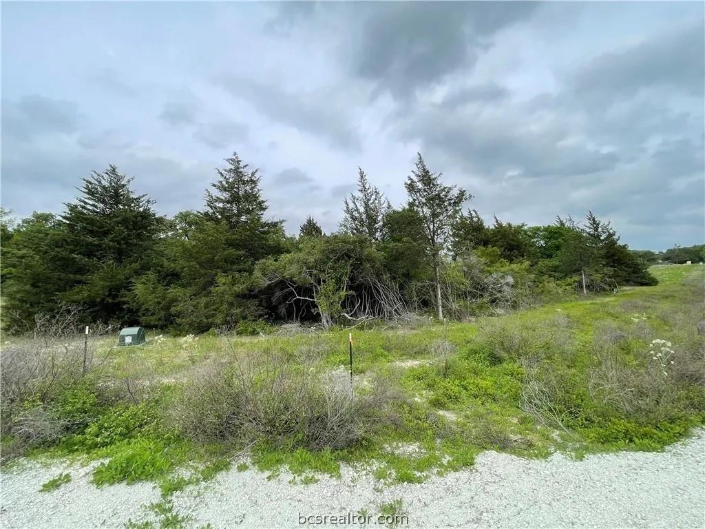 4524 Hampshire Lane, Franklin, Texas image 5