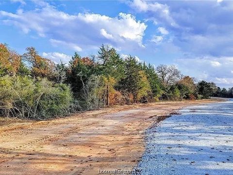 Photo of 4524 Hampshire Lane, Franklin, TX 77856 (MLS # 47444122)