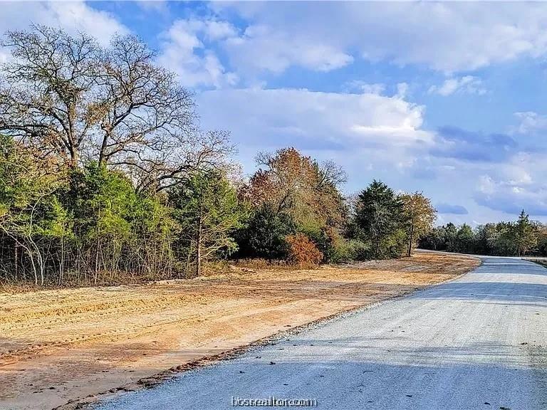 4524 Hampshire Lane, Franklin, Texas image 6