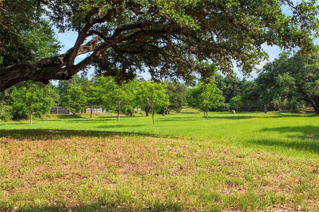 12134 N Us Highway 77, Schulenburg, Texas image 1