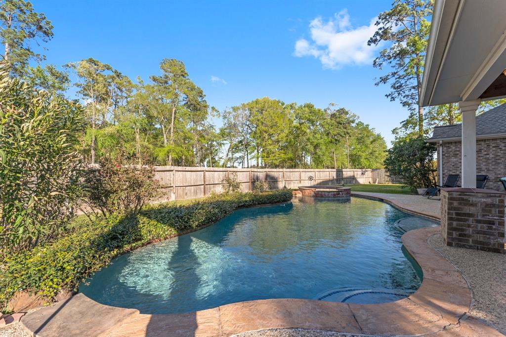 30318 Vinebriar Drive, Spring, Texas image 37