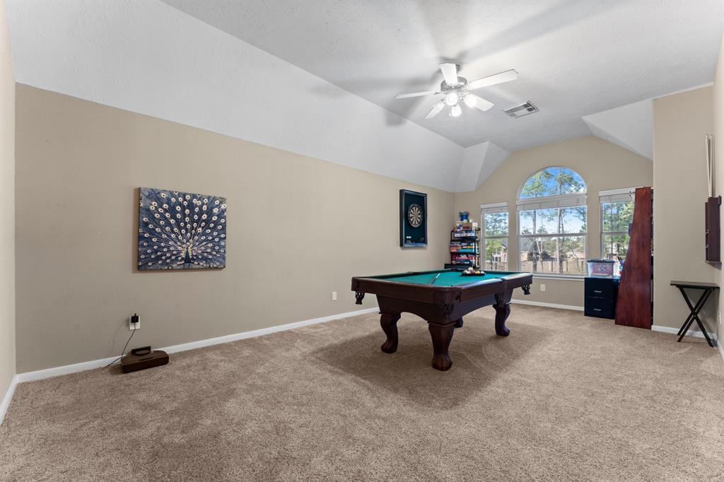 30318 Vinebriar Drive, Spring, Texas image 24