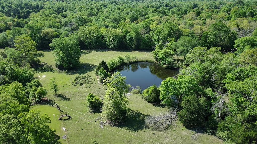 108 Pr 378, Buffalo, Texas image 3