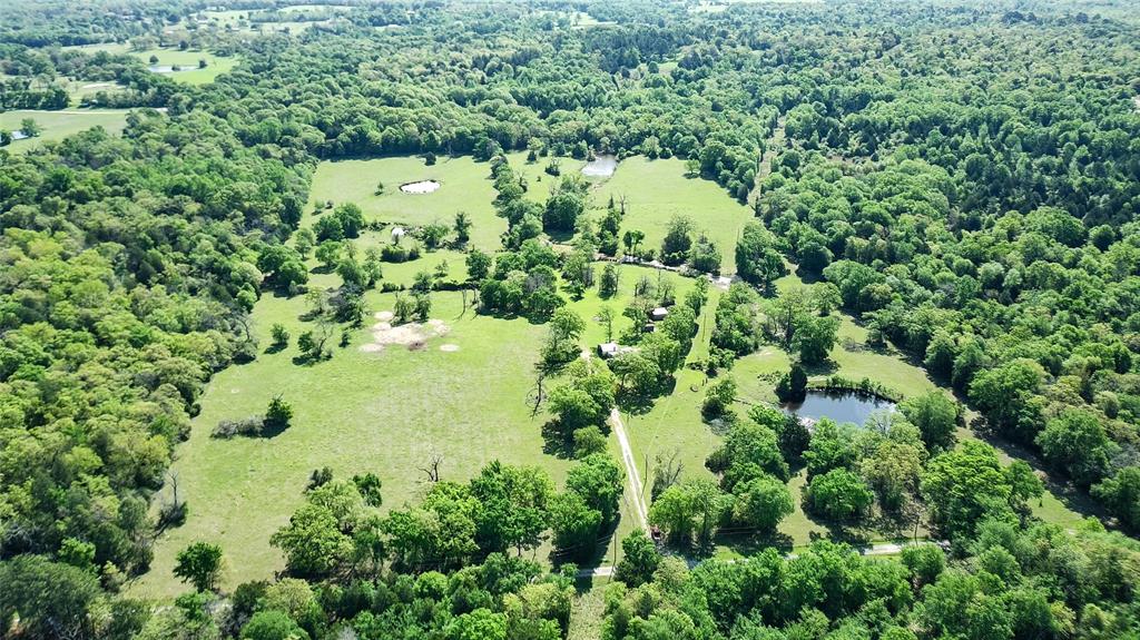 108 Pr 378, Buffalo, Texas image 25