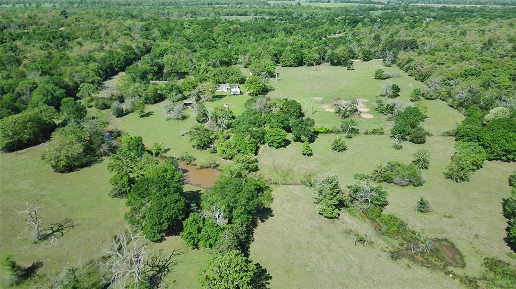 108 Pr 378, Buffalo, Texas image 24