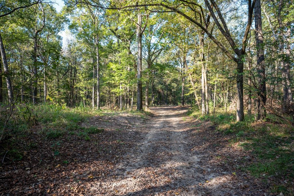 Off County Road 2670
