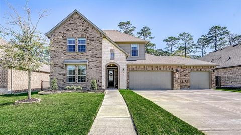 18118 Ponte Vecchio Way Houston TX 77044