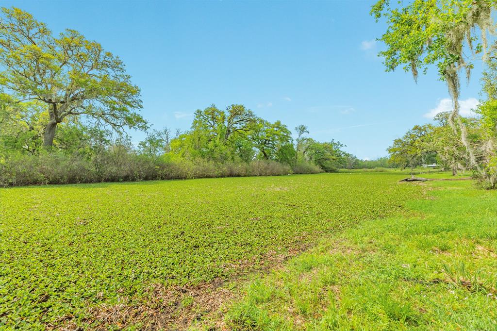 109 County Road 611a, Angleton, Texas image 24