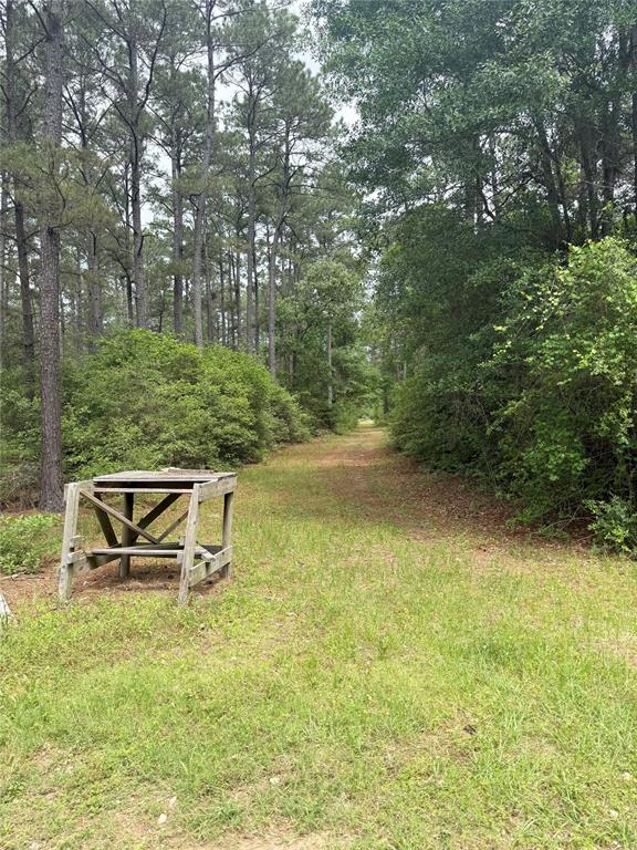 TBD Lone Star Rd, Navasota, Texas image 6