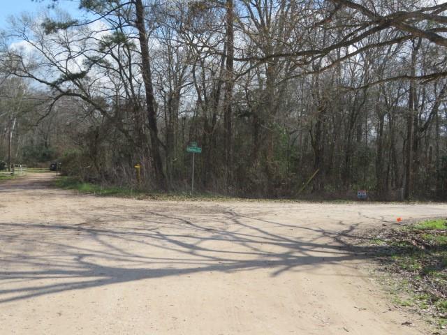 Golden Lane, Houston, Texas image 11