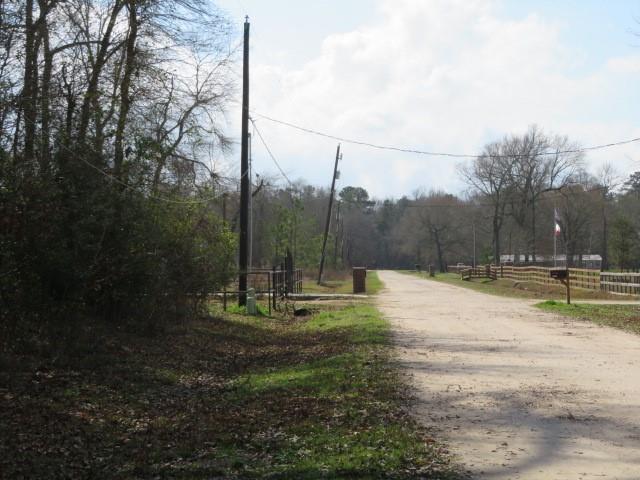 Golden Lane, Houston, Texas image 2